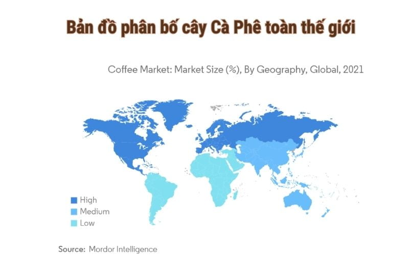 bản đồ phân bố cà phê trên thế giới