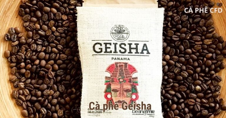 Cà phê Geisha là gì