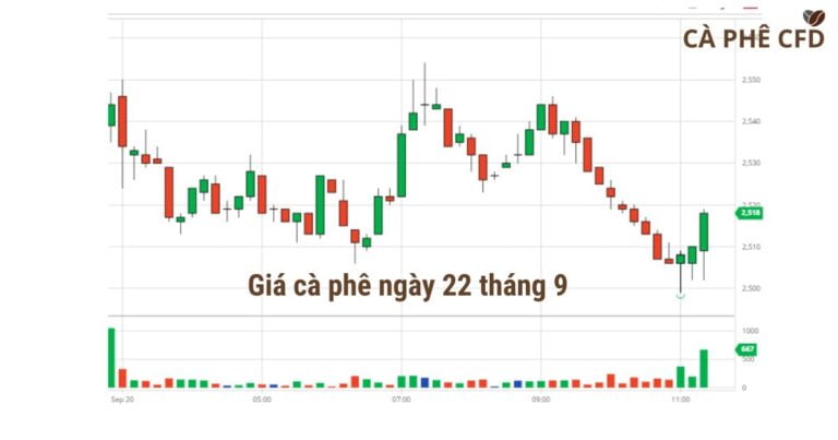 giá cà phê ngày 22 tháng 9