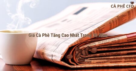 Giá Cà Phê Tăng Cao Nhất Trong 30 Năm