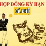 Hợp đồng cà phê kỳ hạn là gì