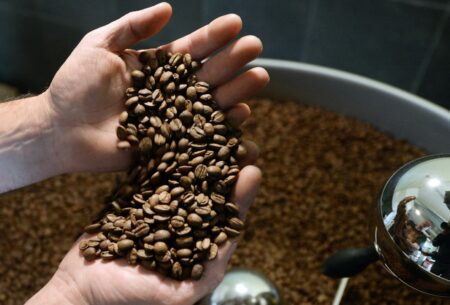 thị trường Cà phê tuần 8 tháng 1 đến 14 tháng 1 năm 2024